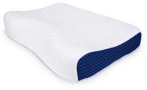 Foam Pillow production