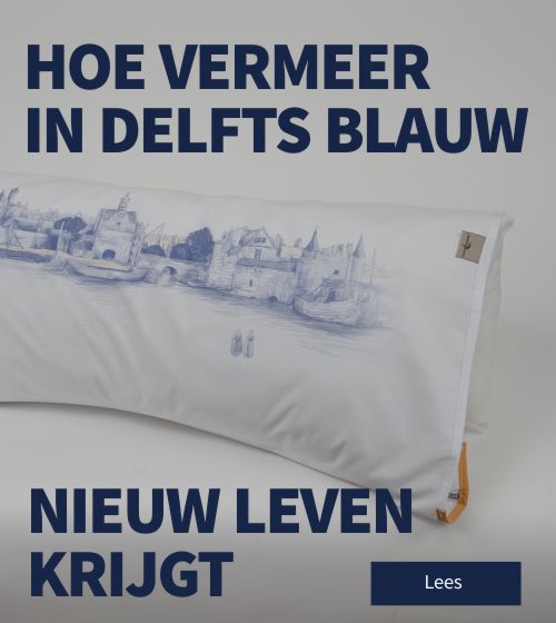 Vermeer Pillow Wrapper